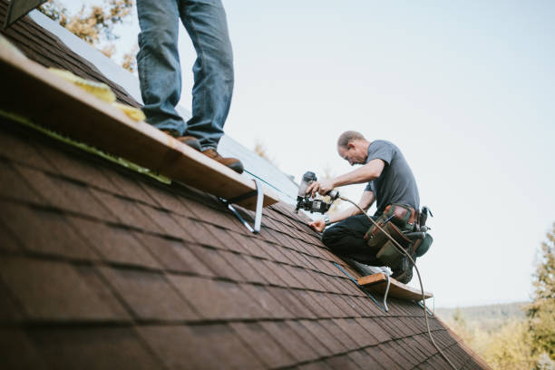Best Emergency Roof Repair  in Kodi Station, AK